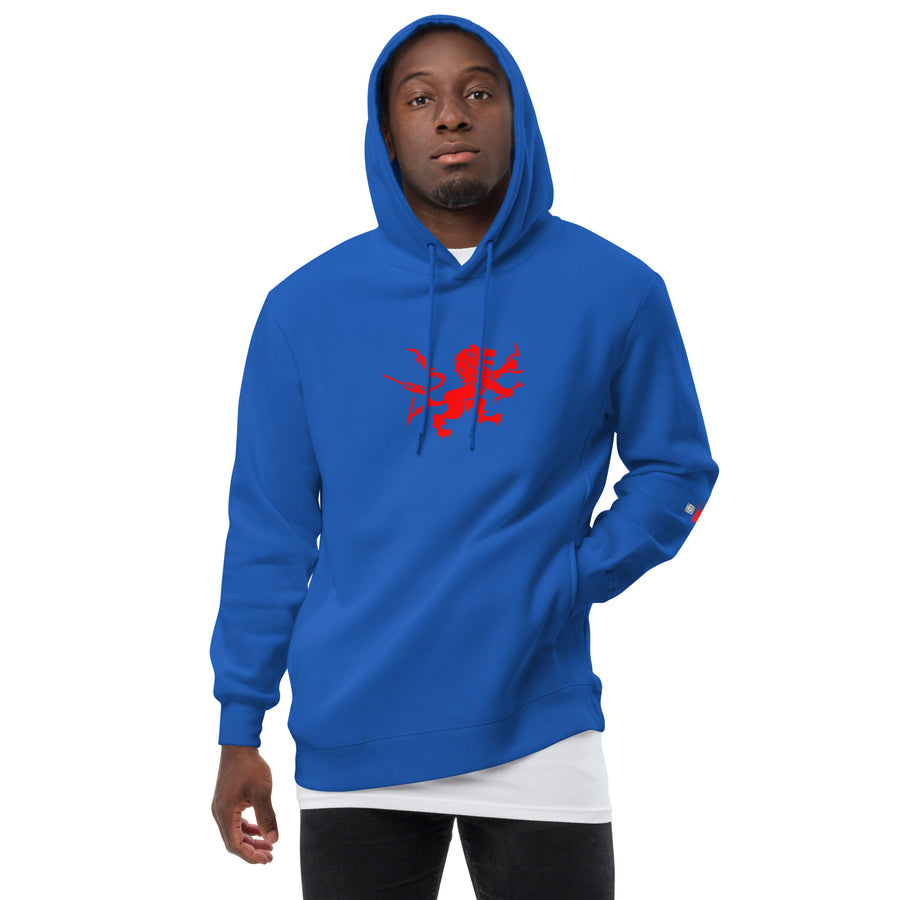 Party Hoodie #1